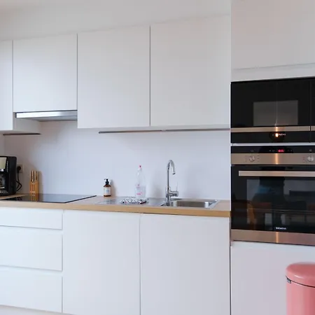 Prachtig Duplex Met Balkon Te Wenduine Apartment *